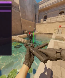 Free CS2 Wallhacks & ESP