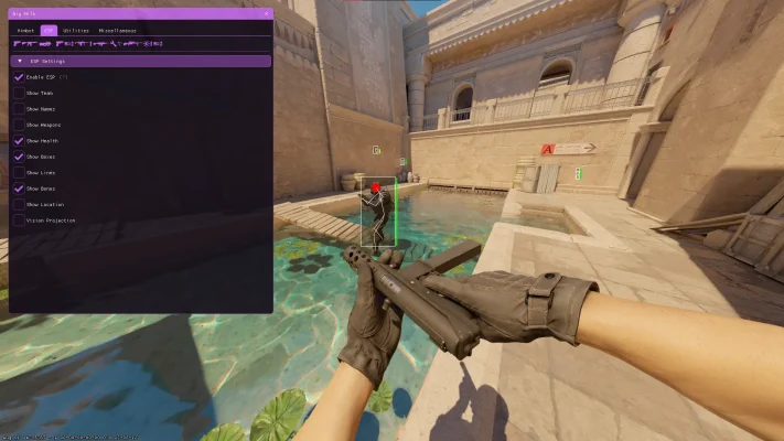 Free CS2 Wallhacks & ESP