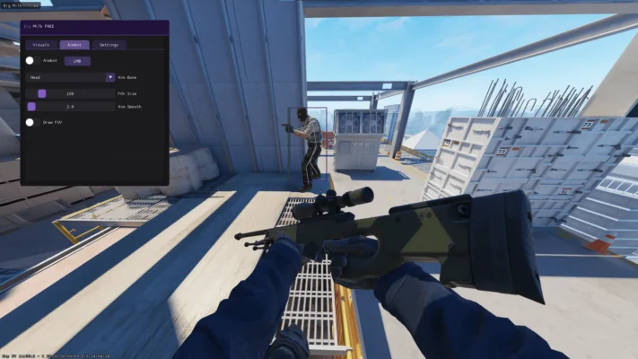 Free CS2 Aimbot