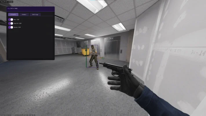 Free CS2 Wallhacks